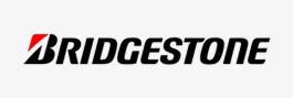 A Cagnol Fils Pneus Garage Auto Nice BRIDGESTONE