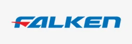 A Cagnol Fils Pneus Garage Auto Nice FALKEN