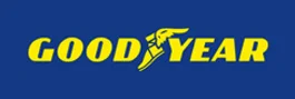 A Cagnol Fils Pneus Garage Auto Nice GOODYEAR